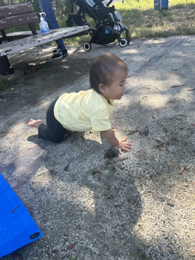 ♦おひさまのおうち♦どろんこおひさま㏌細米公園🌞